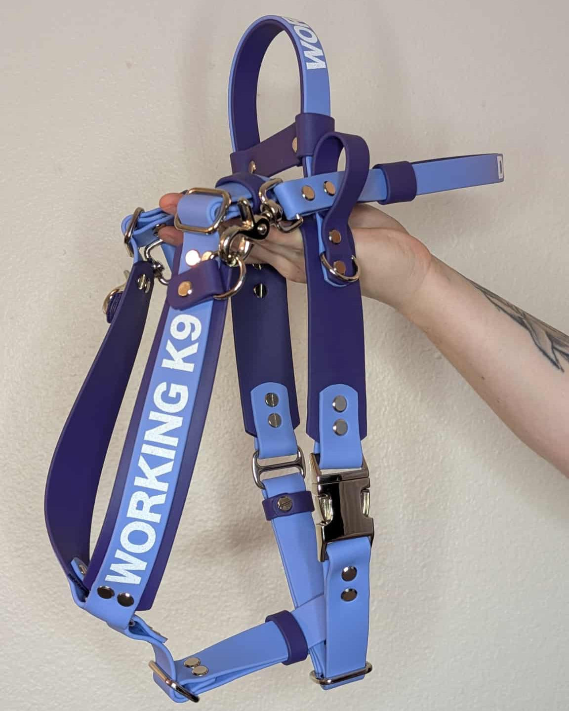 Ready to Ship - Periwinkle and Purple Biothane Y-Front Service Dog Harness