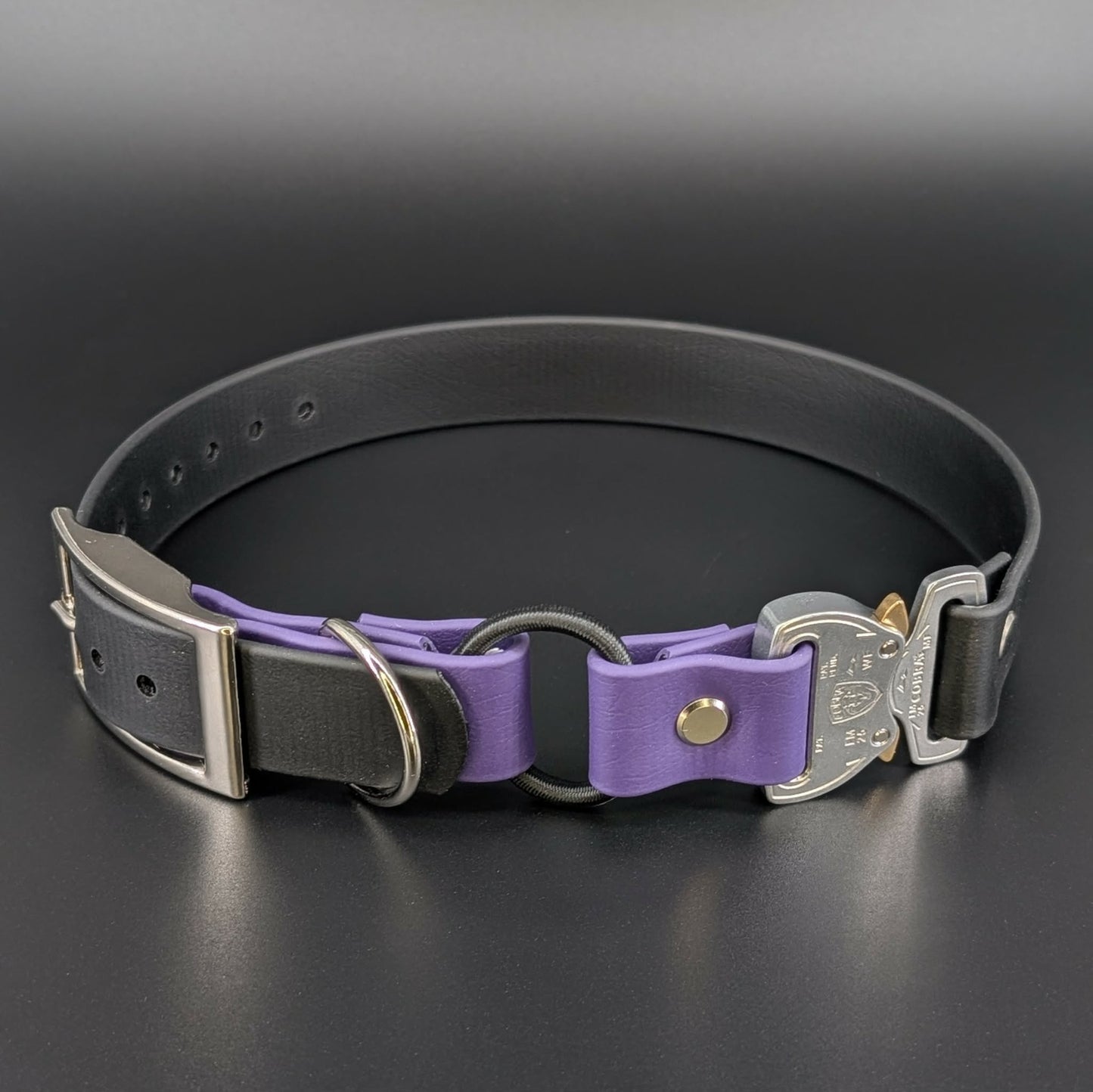 1 inch wide black and dark purple biothane e-collar strap with bungee and quick release cobra buckle