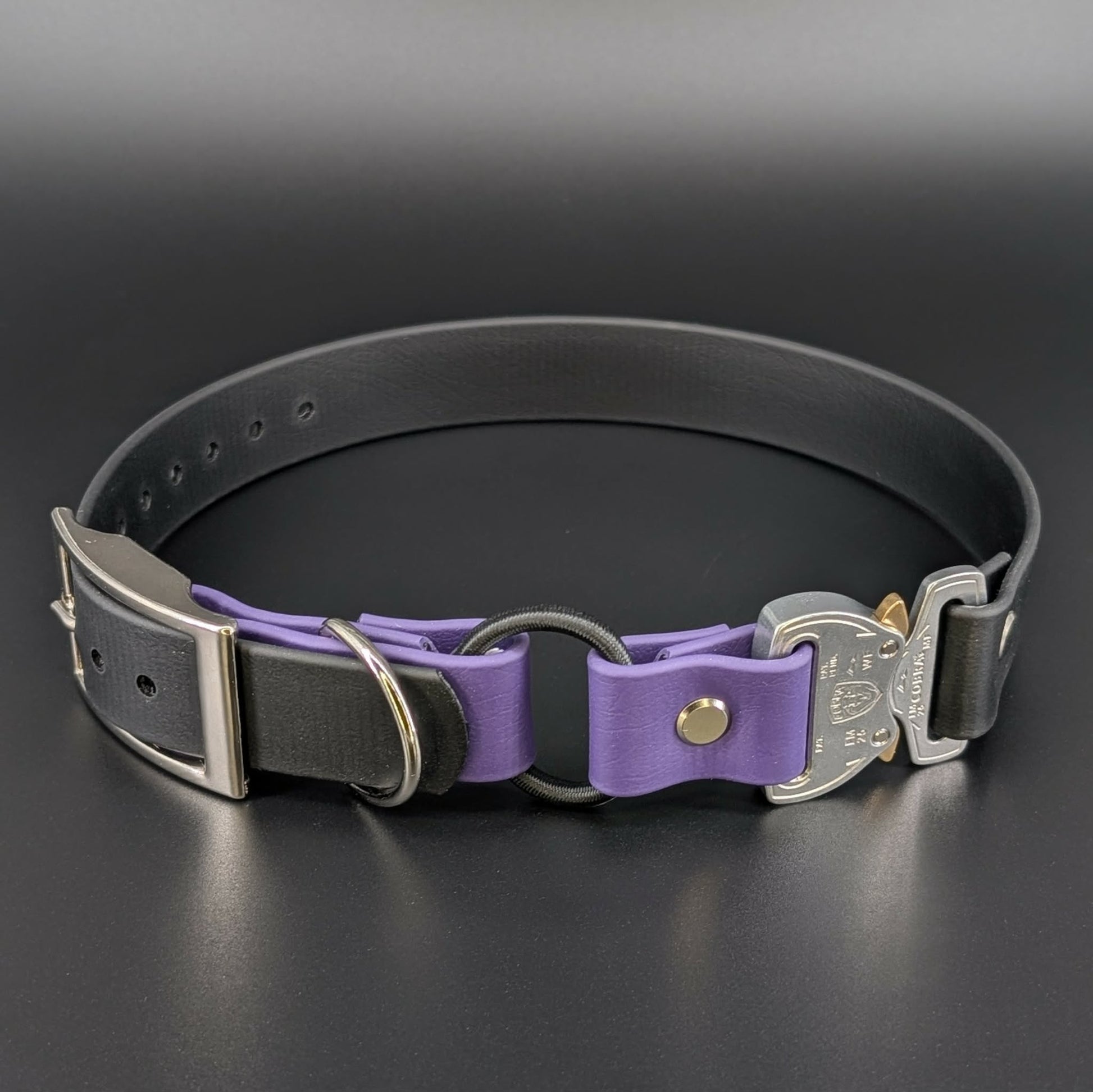 1 inch wide black and dark purple biothane e-collar strap with bungee and quick release cobra buckle