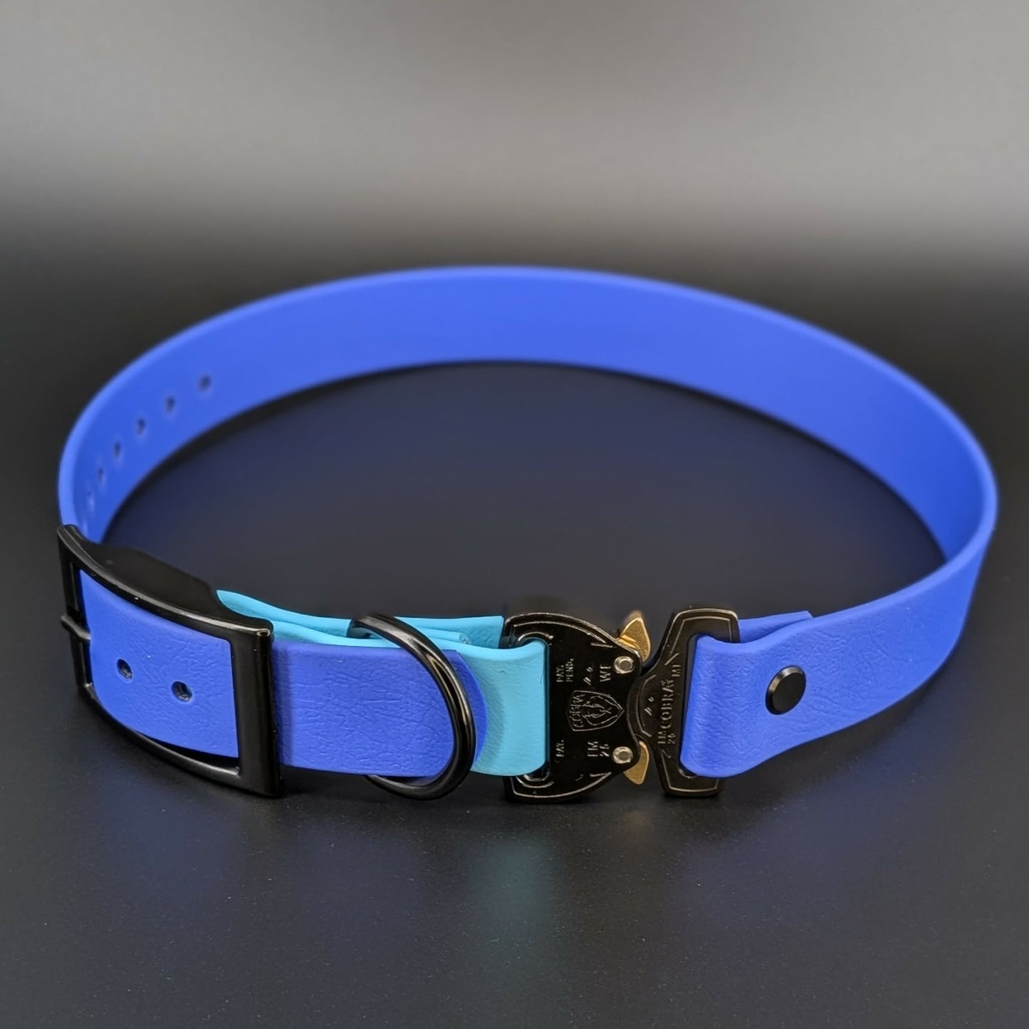 1 inch wide royal blue and light blue biothane e-collar strap with black quick release cobra buckle
