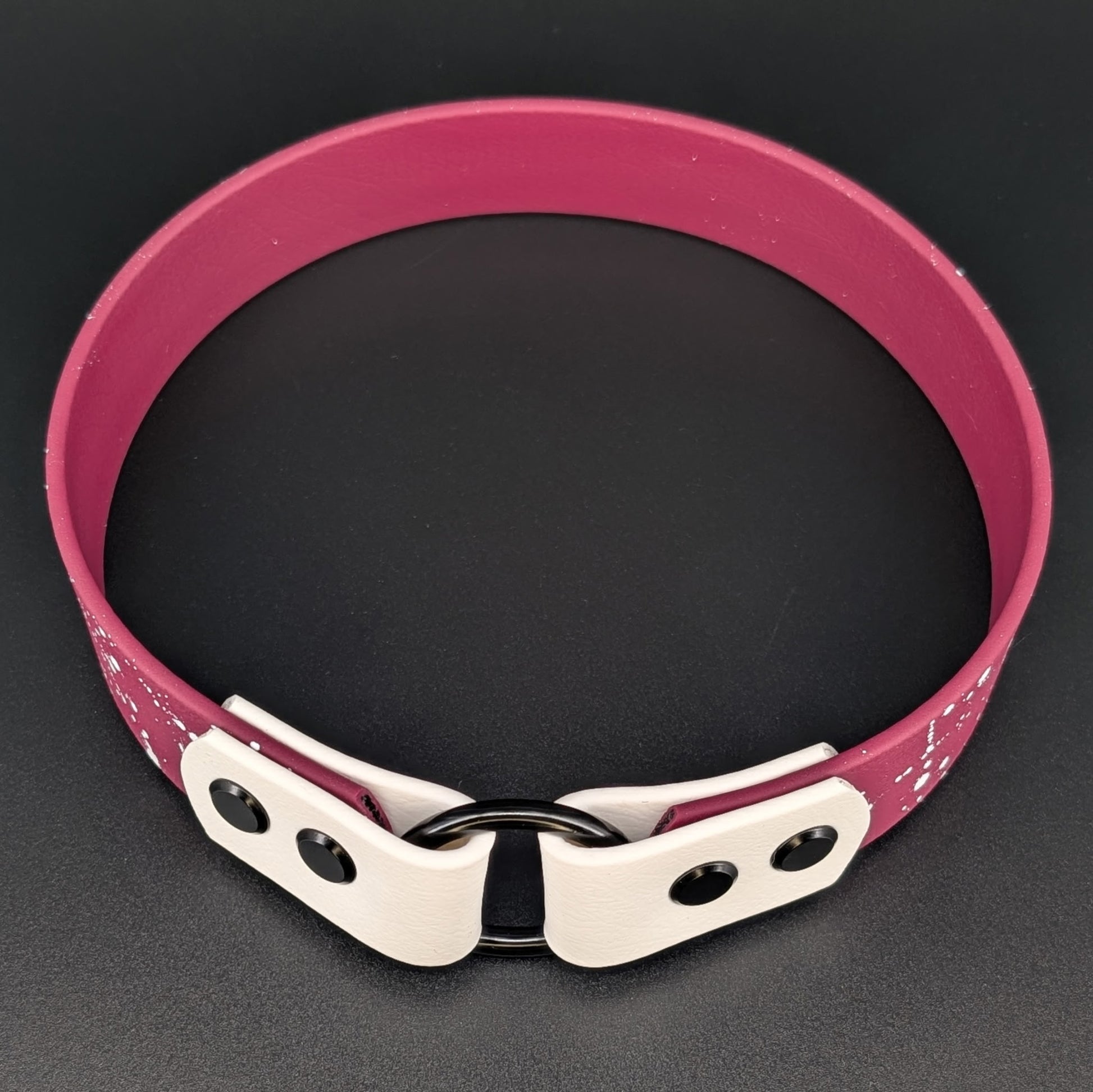 1 inch wide wine and white biothane tag collar