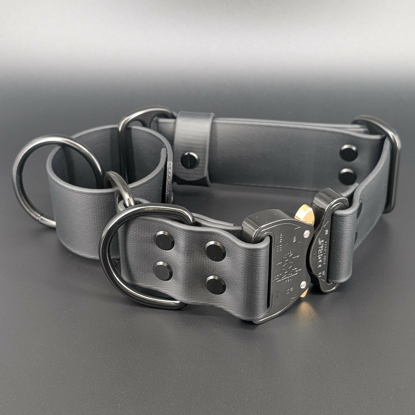 1.5 inch wide black biothane martingale dog collar with quick release cobra buckle