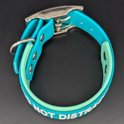 1.5 inch wide mint green and teal layered biothane do not distract collar