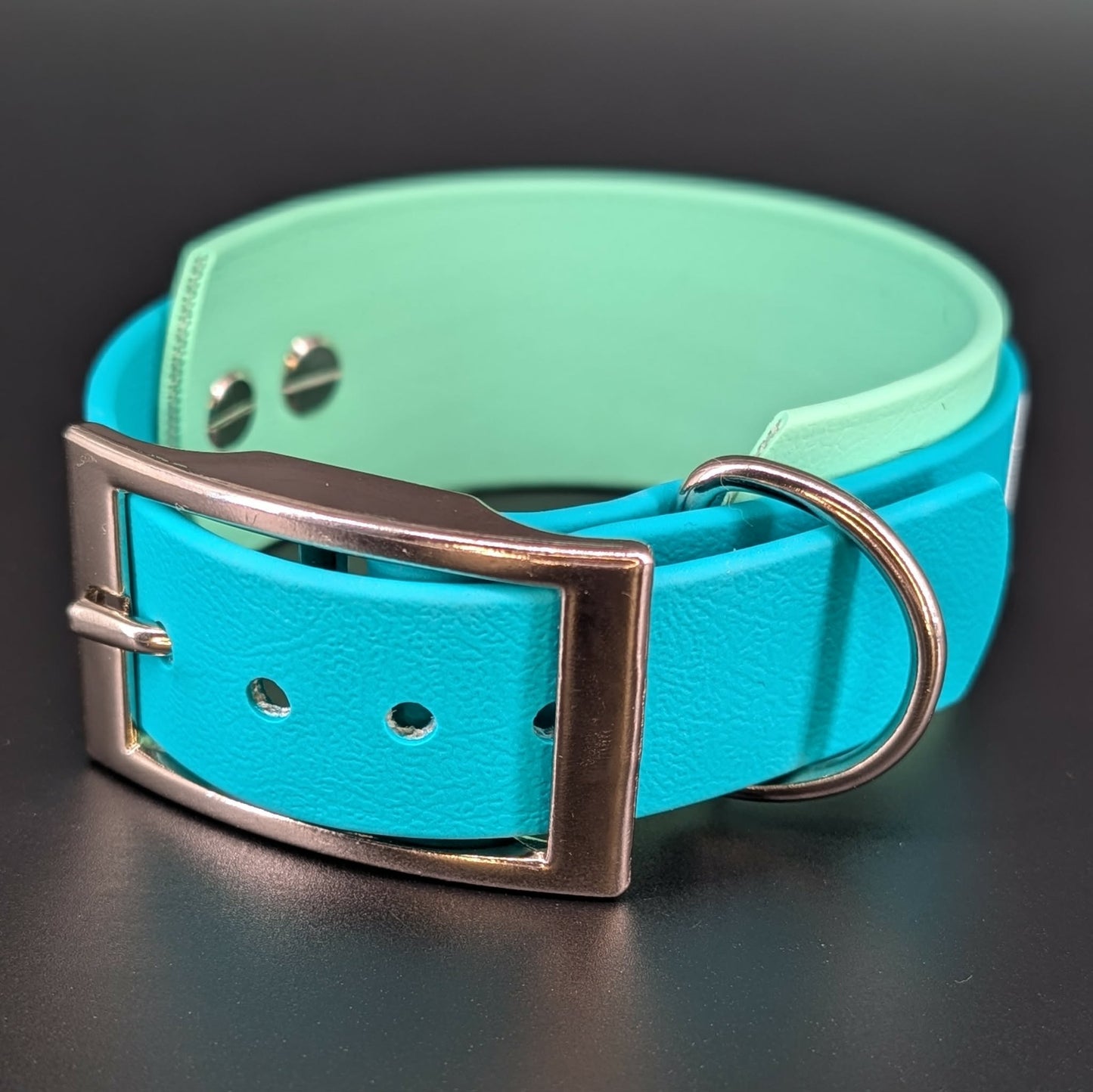 1.5 inch wide mint green and teal layered biothane do not distract dog collar