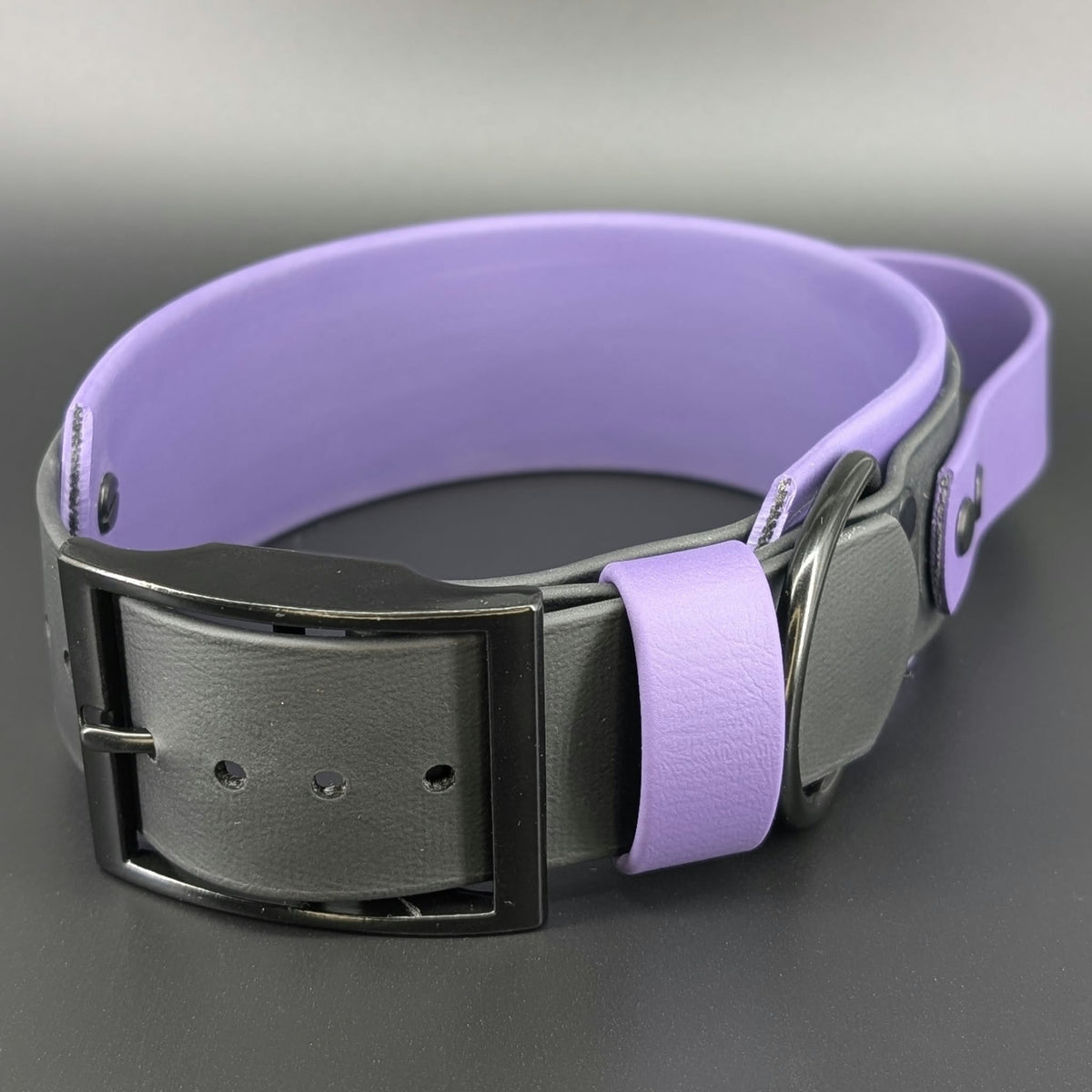 Ready to Ship - Dark Purple and Black Layered Biothane BITEY BITCH Collar with Tactical Handle, 2 inch wide 15 - 18 inch neck