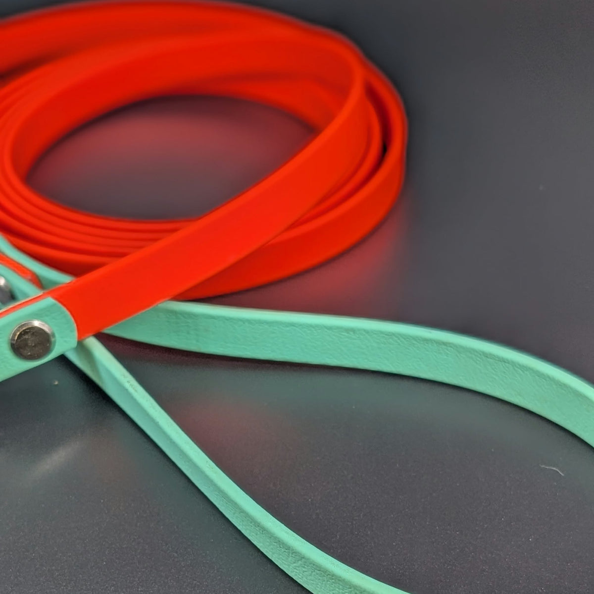 Ready to Ship - 8 Foot Long Orange and Mint Green Biothane Long Line