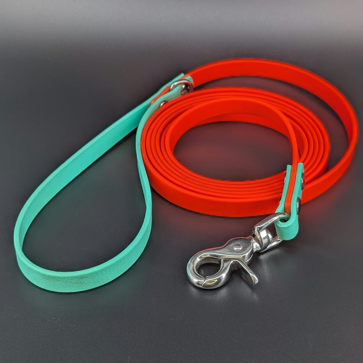 Ready to Ship - 8 Foot Long Orange and Mint Green Biothane Long Line