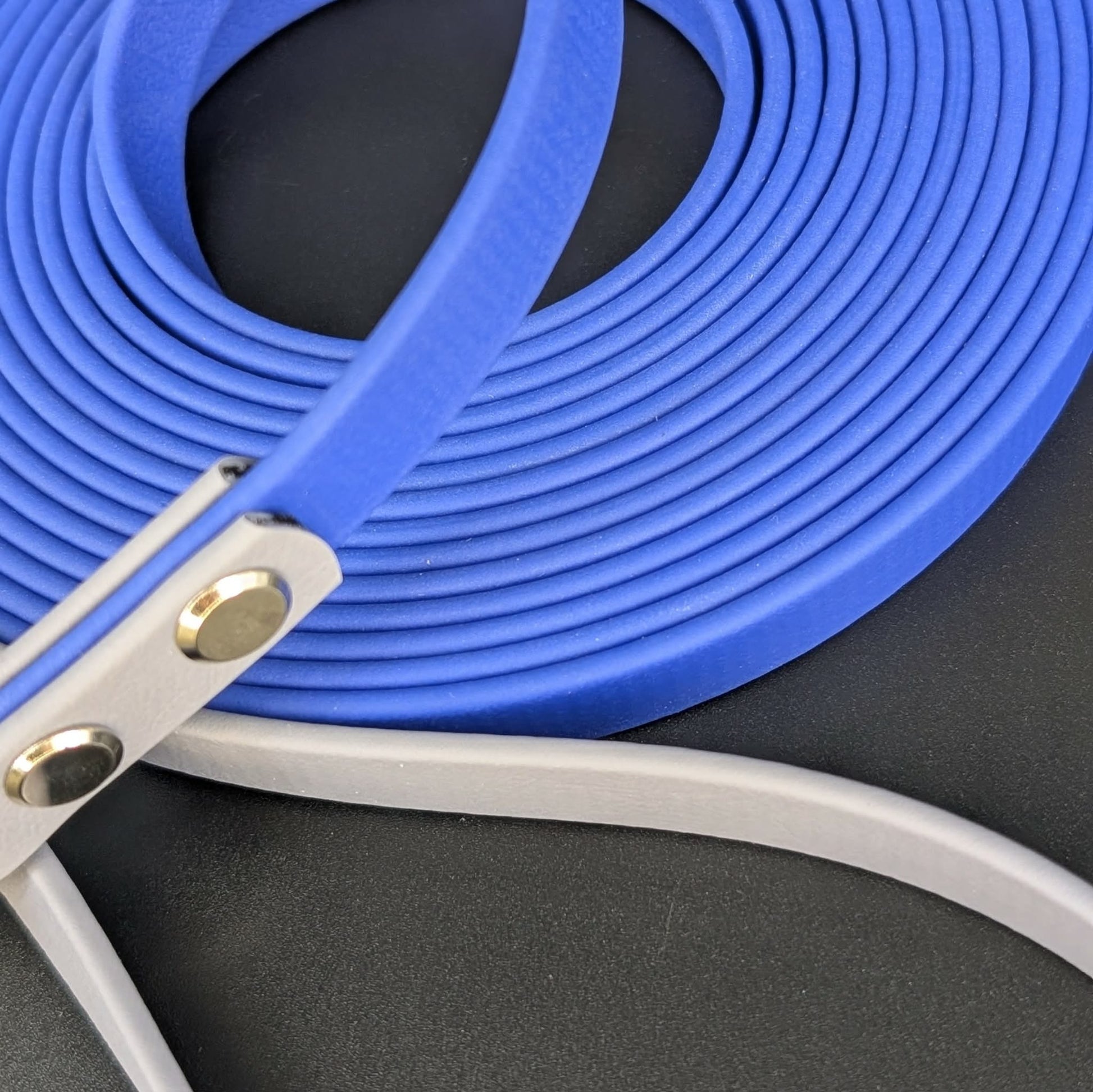 15 feet long royal blue and gray biothane long line