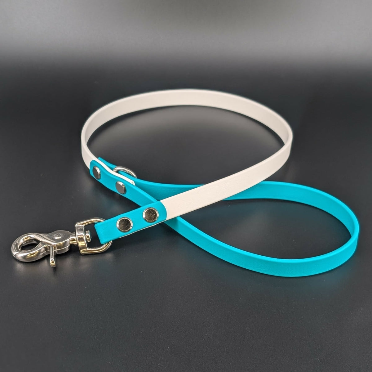 2 feet long white and teal biothane dog leash