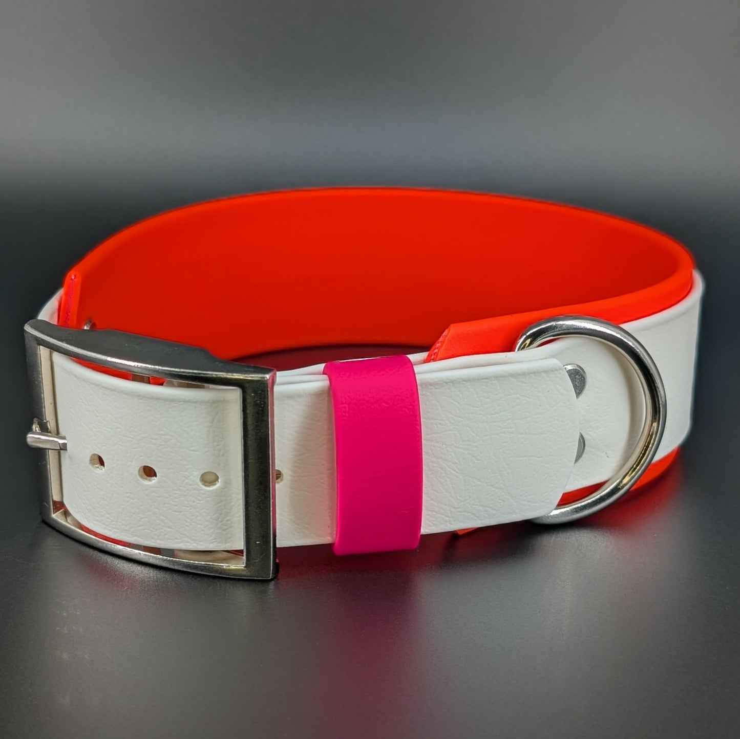 2 inch wide biothane lesbian pride dog collar