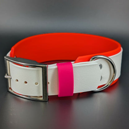 2 inch wide biothane lesbian pride dog collar