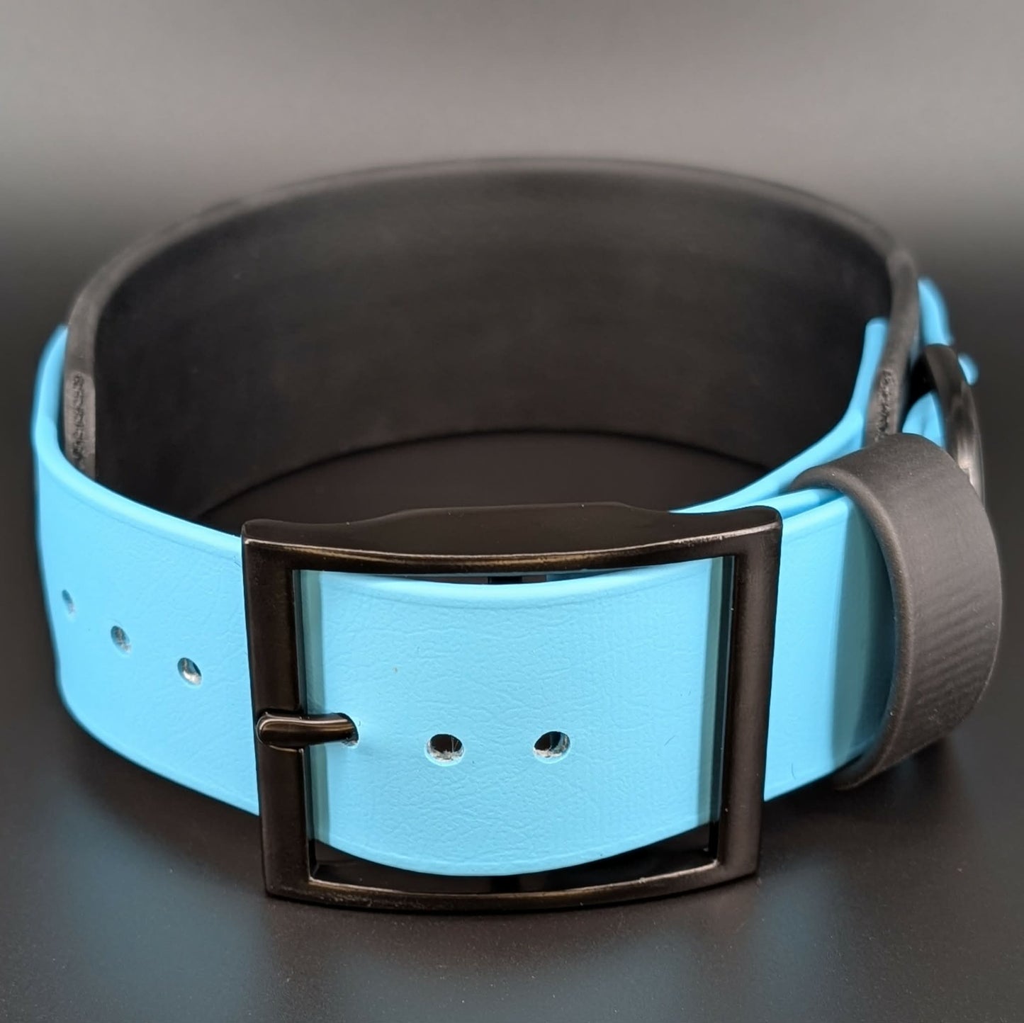 2 inch wide black and light blue biothane dog collar