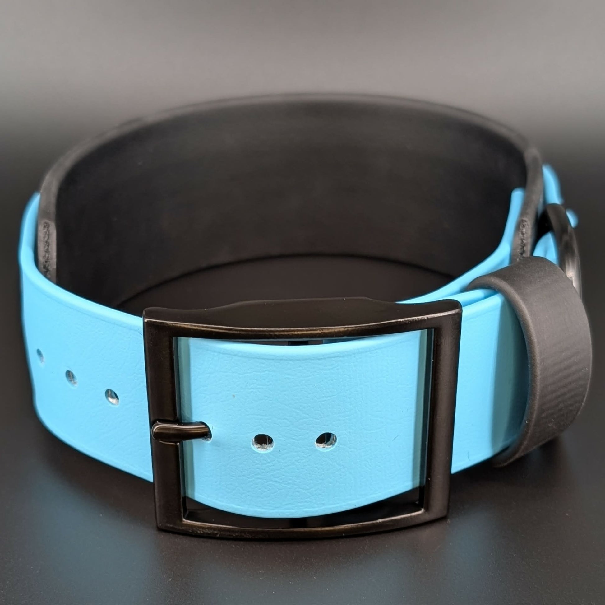 2 inch wide black and light blue biothane dog collar
