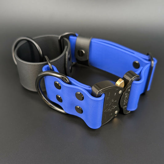 2 inch wide black and royal blue biothane martingale dog collar with quick release cobra buckle