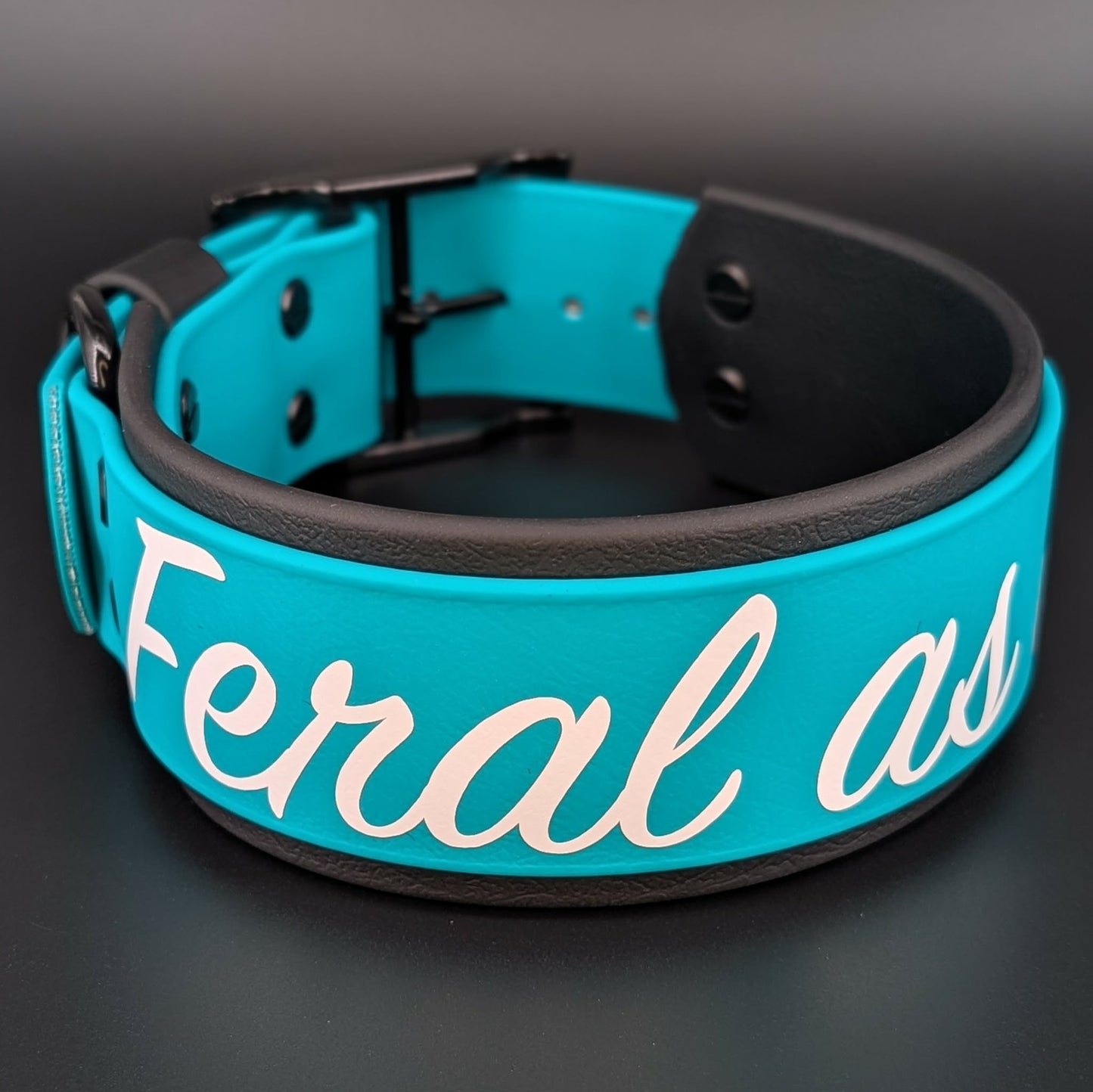2 inch wide black and teal layered biothane feral as fuck dog collar