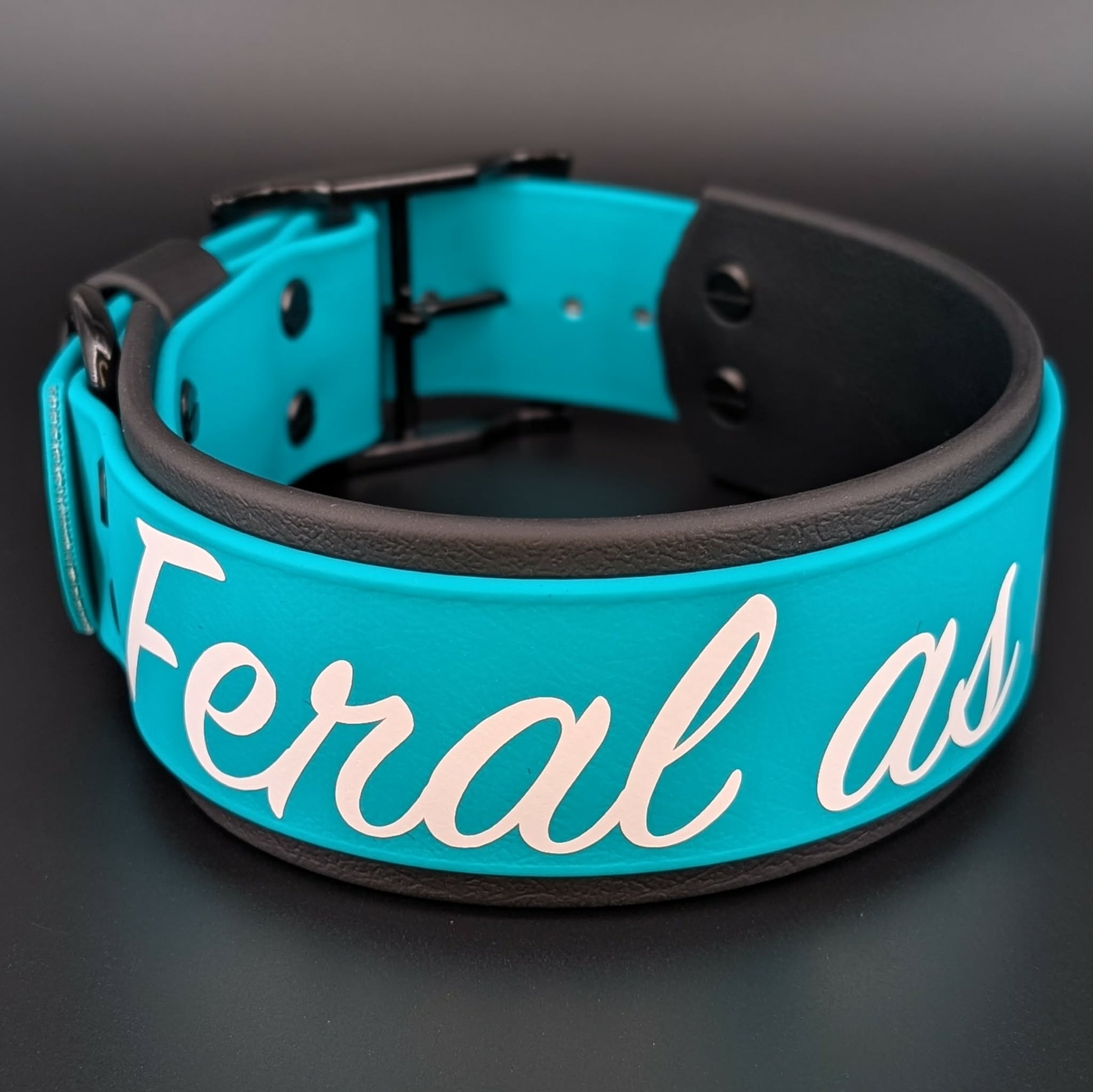2 inch wide black and teal layered biothane feral as fuck dog collar