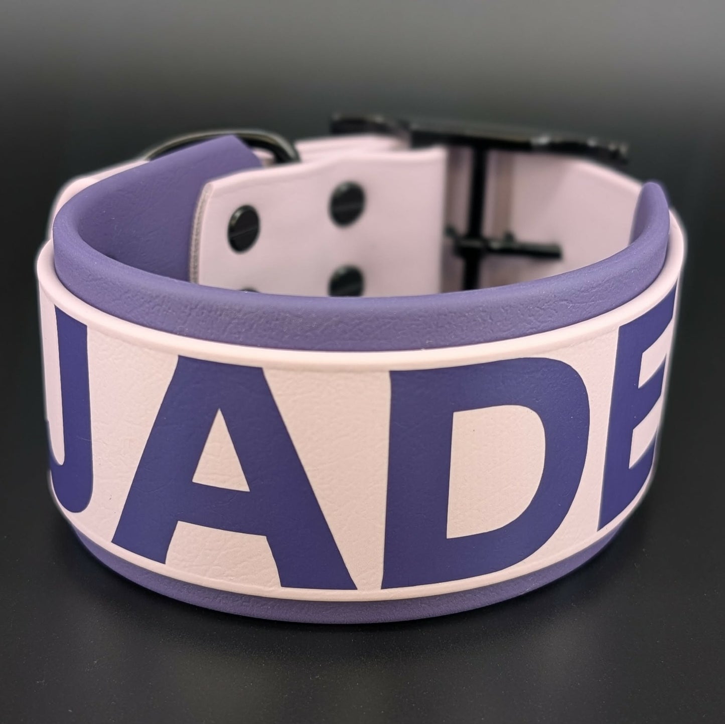 2 inch wide dark purple and lavender biothane dog collar with custom text