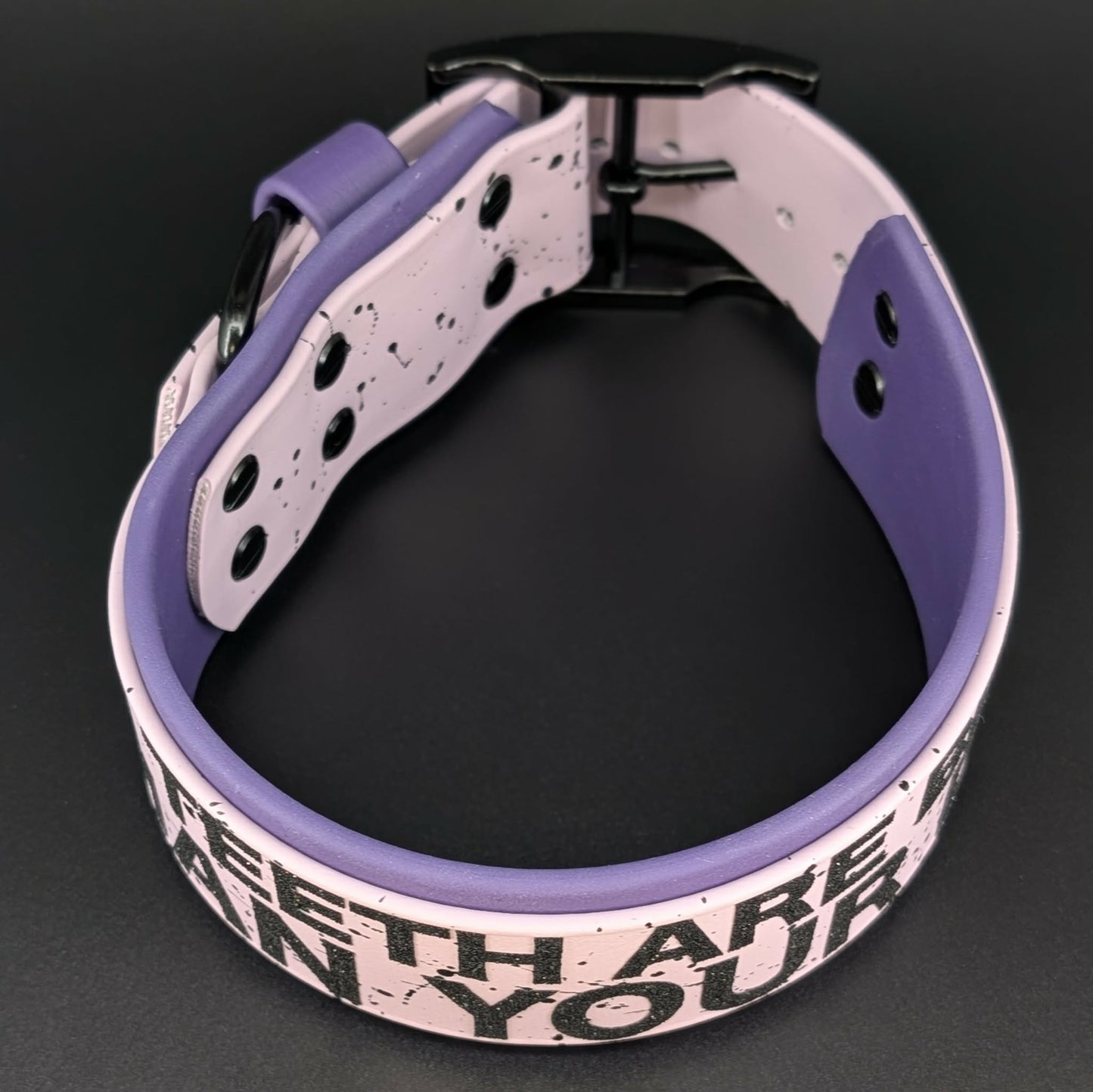 2 inch wide dark purple and lavender biothane my teeth are bigger than your dick collar 15 18 inch neck