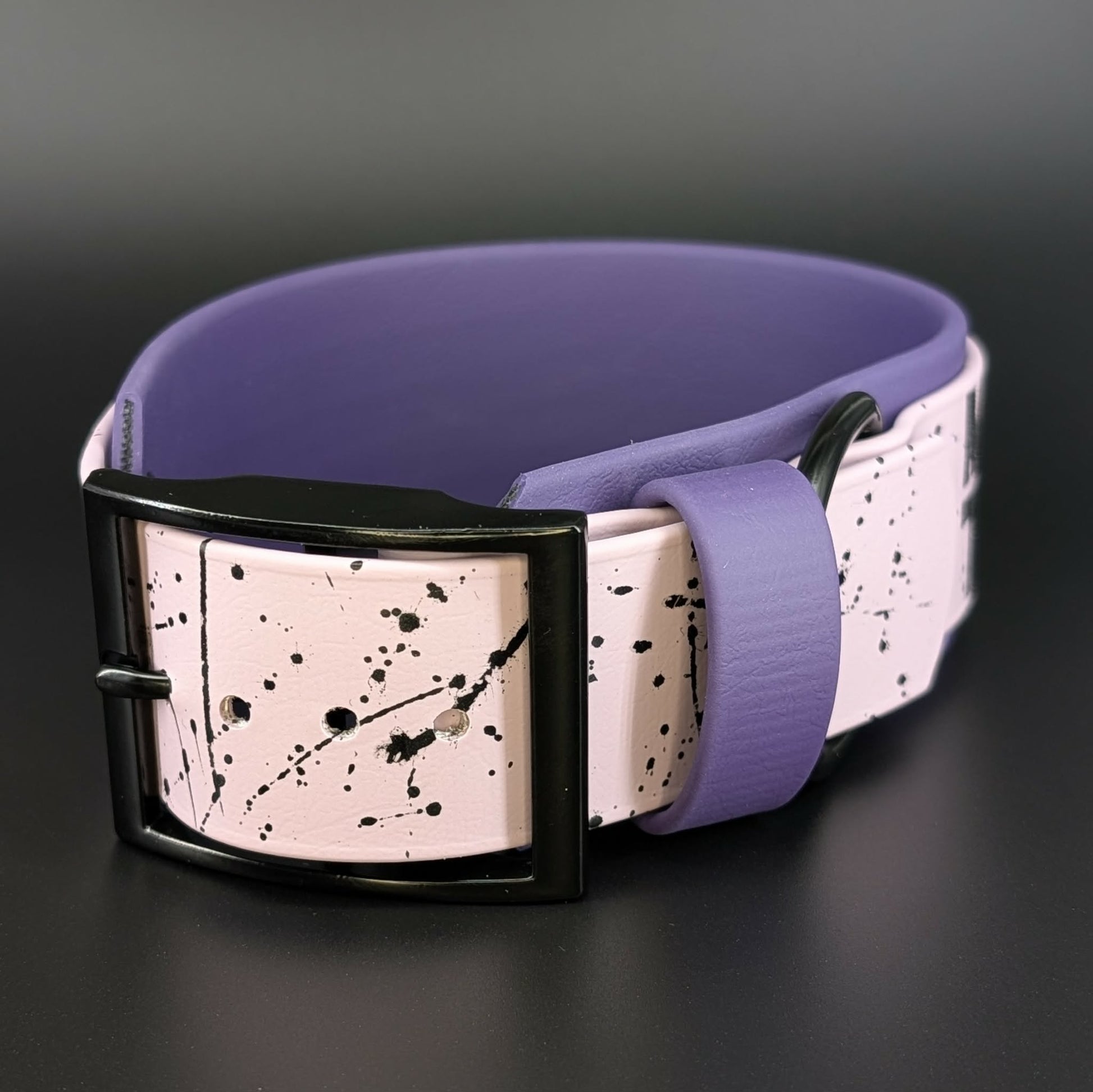2 inch wide dark purple and lavender biothane my teeth are bigger than your dick collar with splatter paint and black hardware