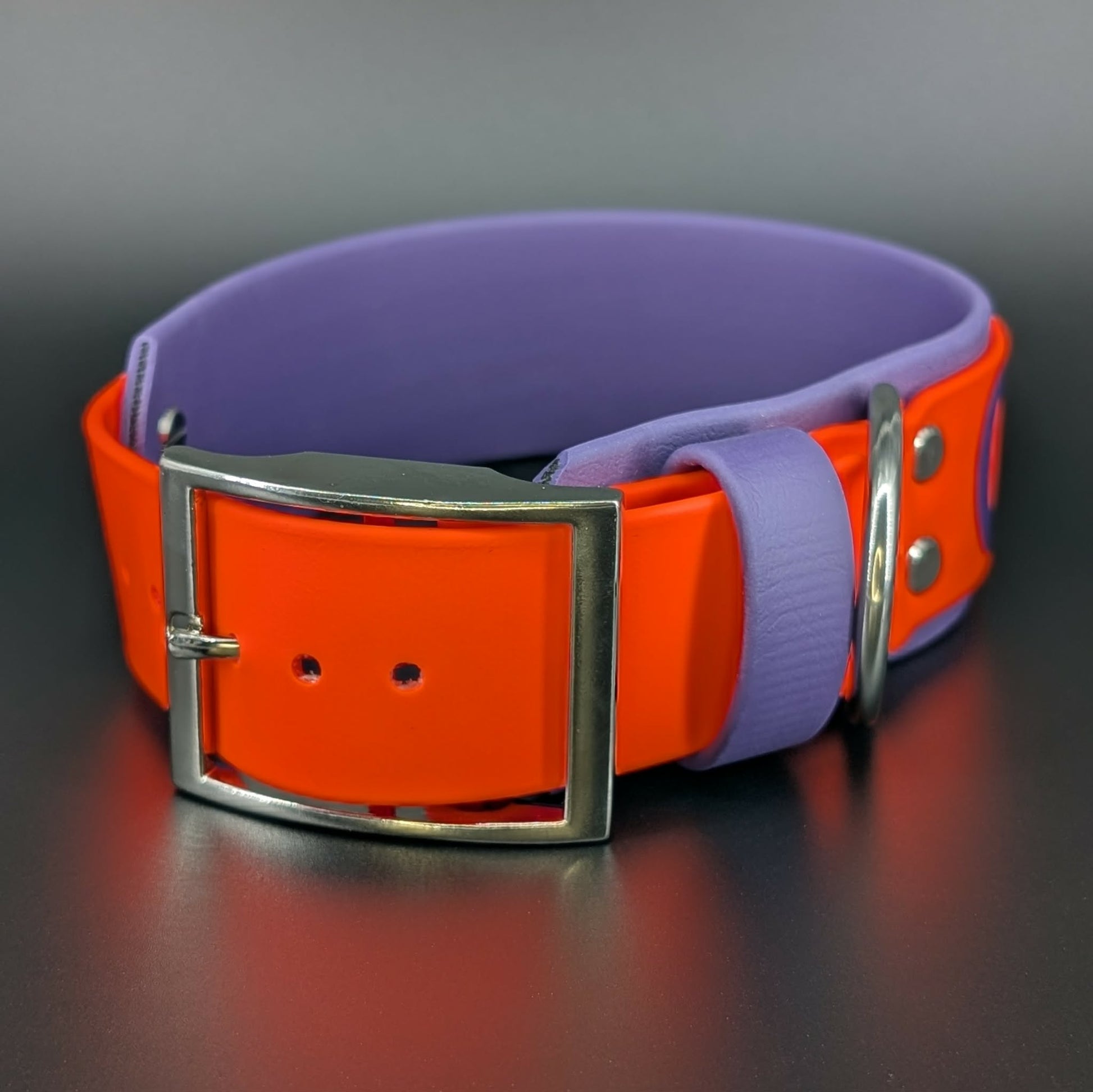 2 inch wide dark purple and orange layered biothane dog collar