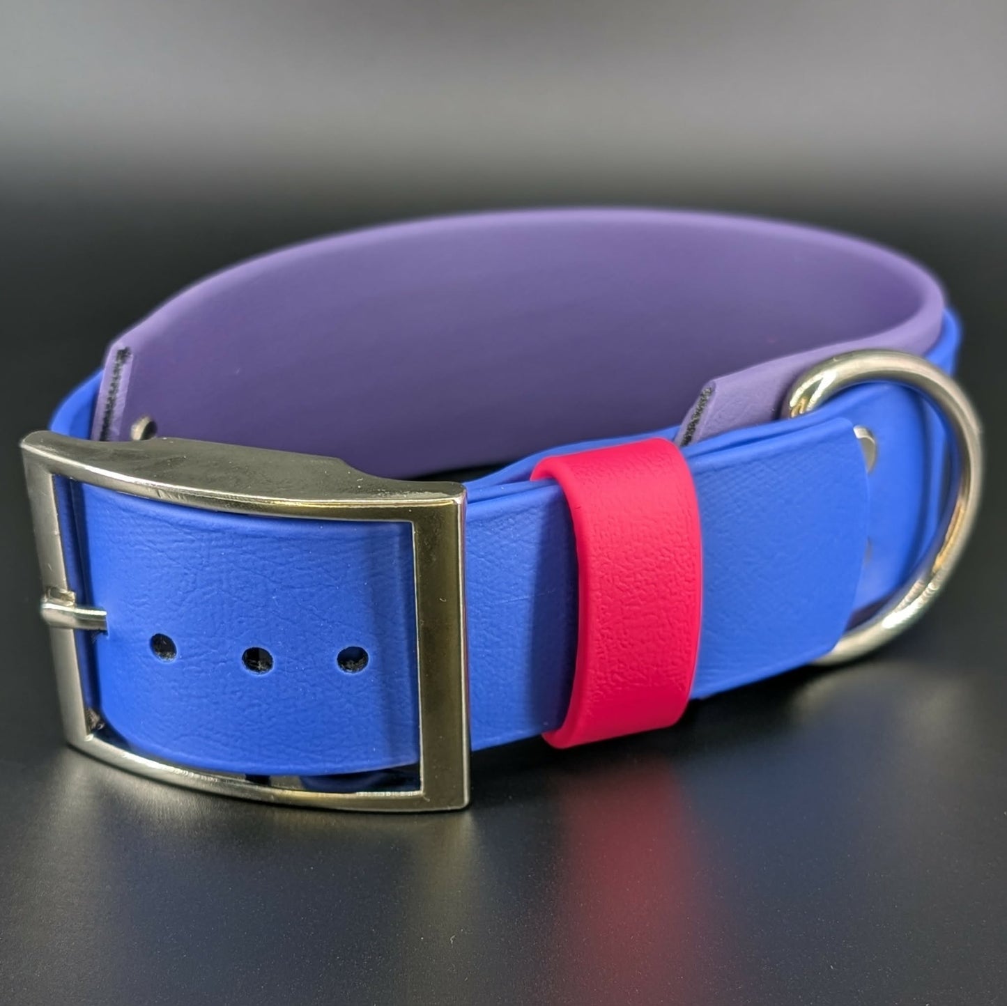 2 inch wide dark purple and royal blue layered biothane bi pride collar