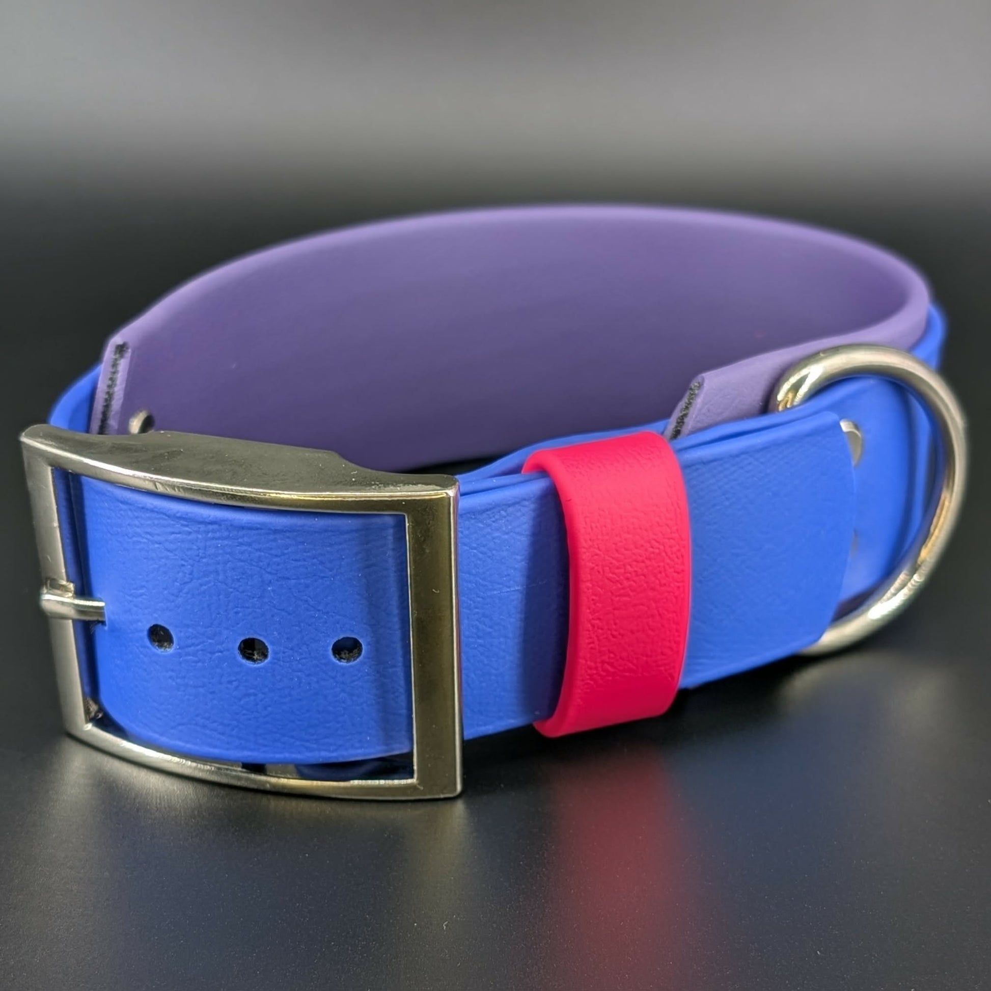 2 inch wide dark purple and royal blue layered biothane bi pride collar