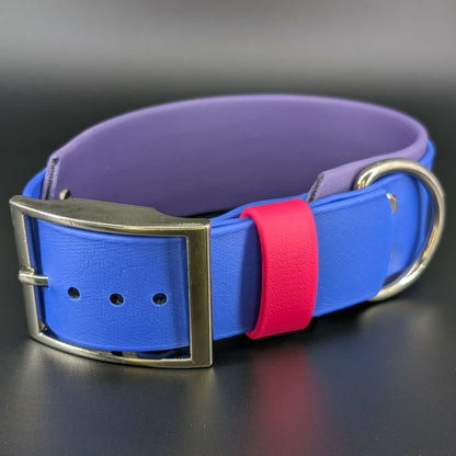 2 inch wide dark purple and royal blue layered biothane bi pride collar