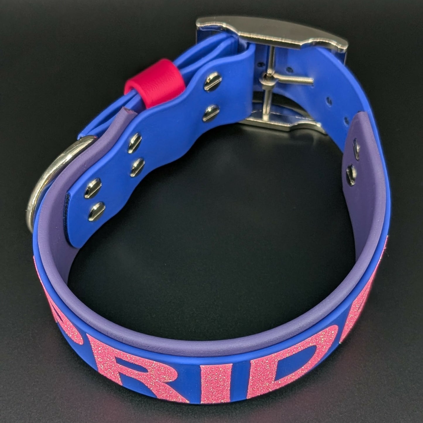2 inch wide dark purple and royal blue layered biothane bi pride dog collar