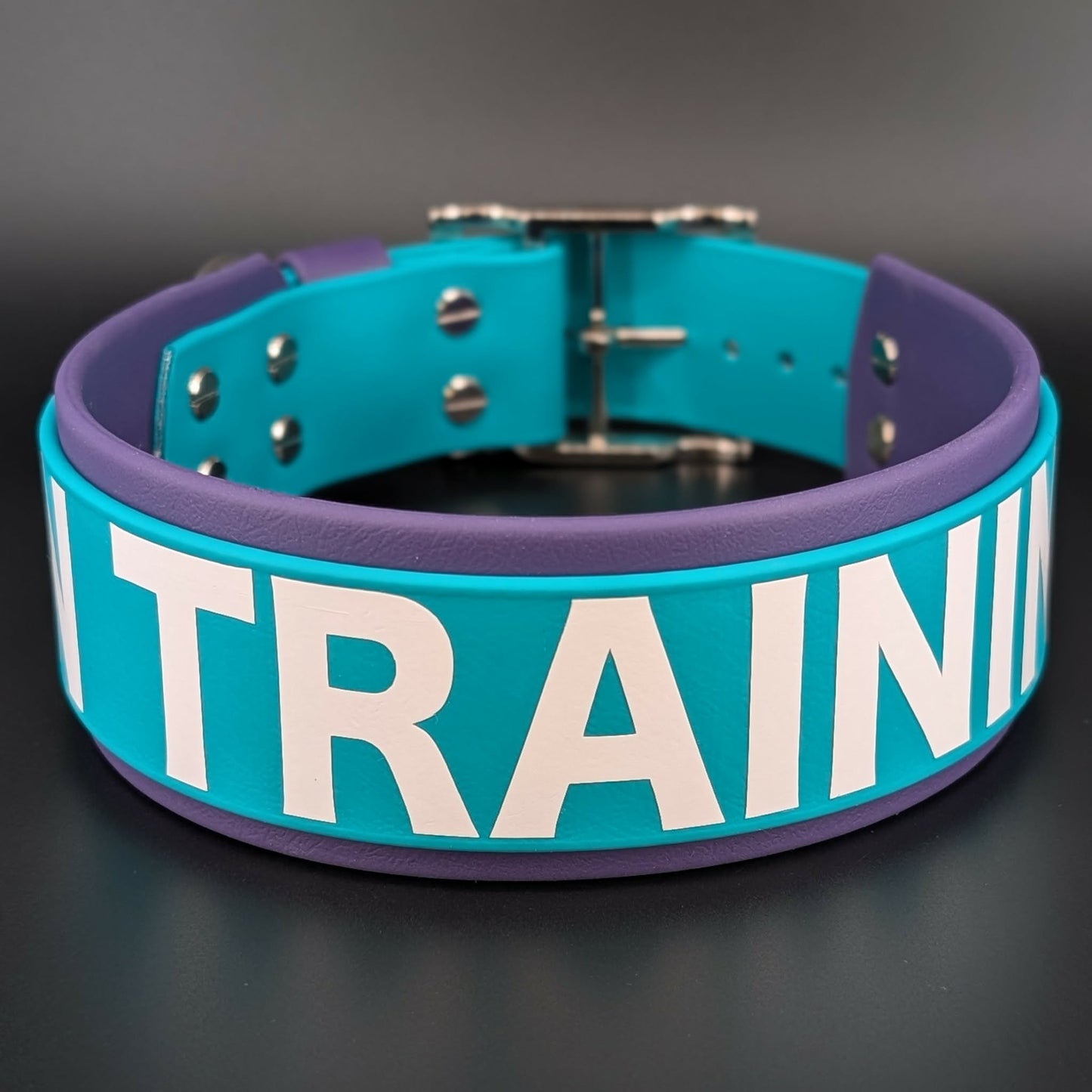 2 inch wide dark purple and teal layered biothane in training dog collar