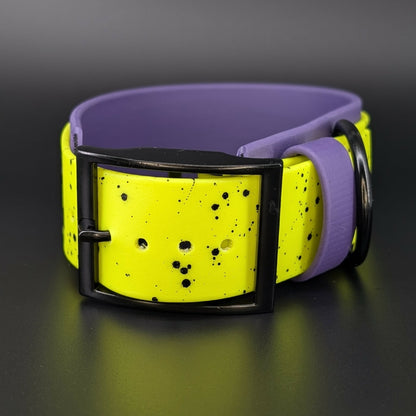 2 inch wide dark purple and yellow biothane collar with splatter paint