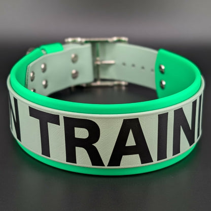 2 inch wide light and sage green layered biothane dog collar with in training text