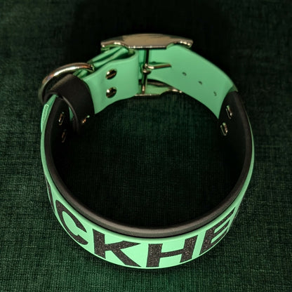 2 inch wide mint and black biothane dog collar