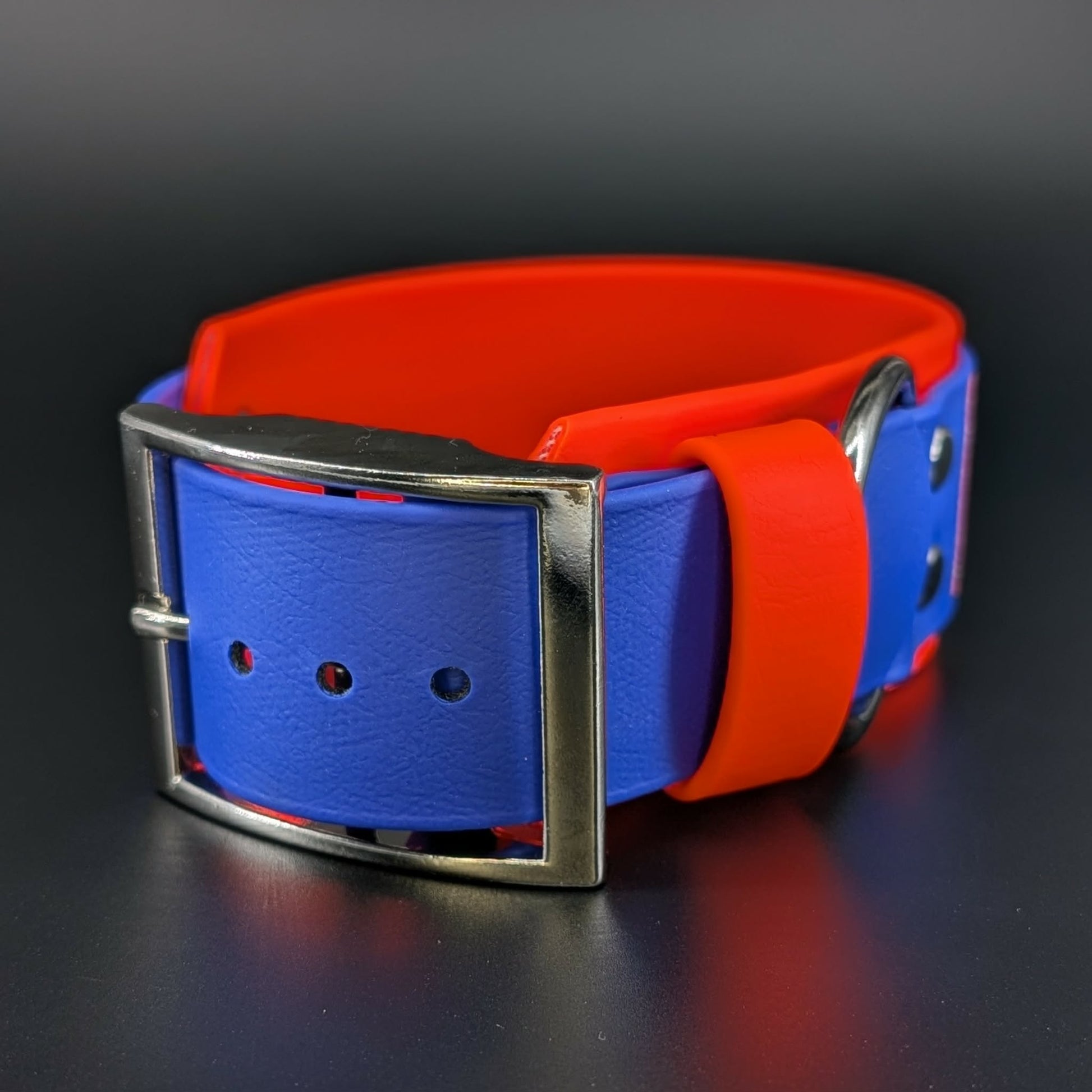 2 inch wide orange and royal blue biothane collar silver hardware