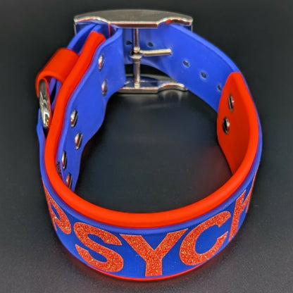 2 inch wide orange and royal blue biothane collar with silver hardware
