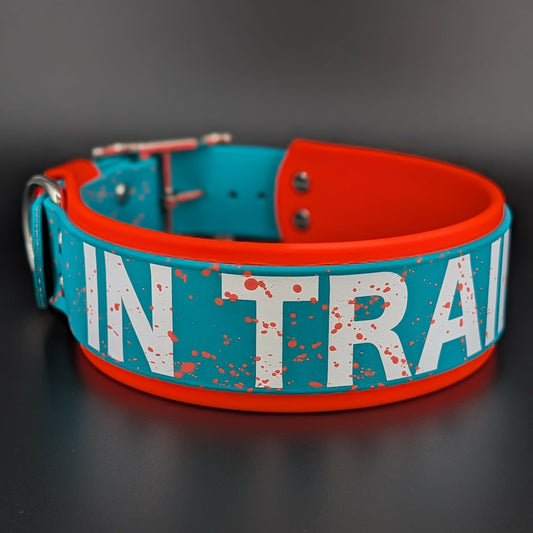 2 inch wide orange and teal biothane in training dog collar with splatter paint