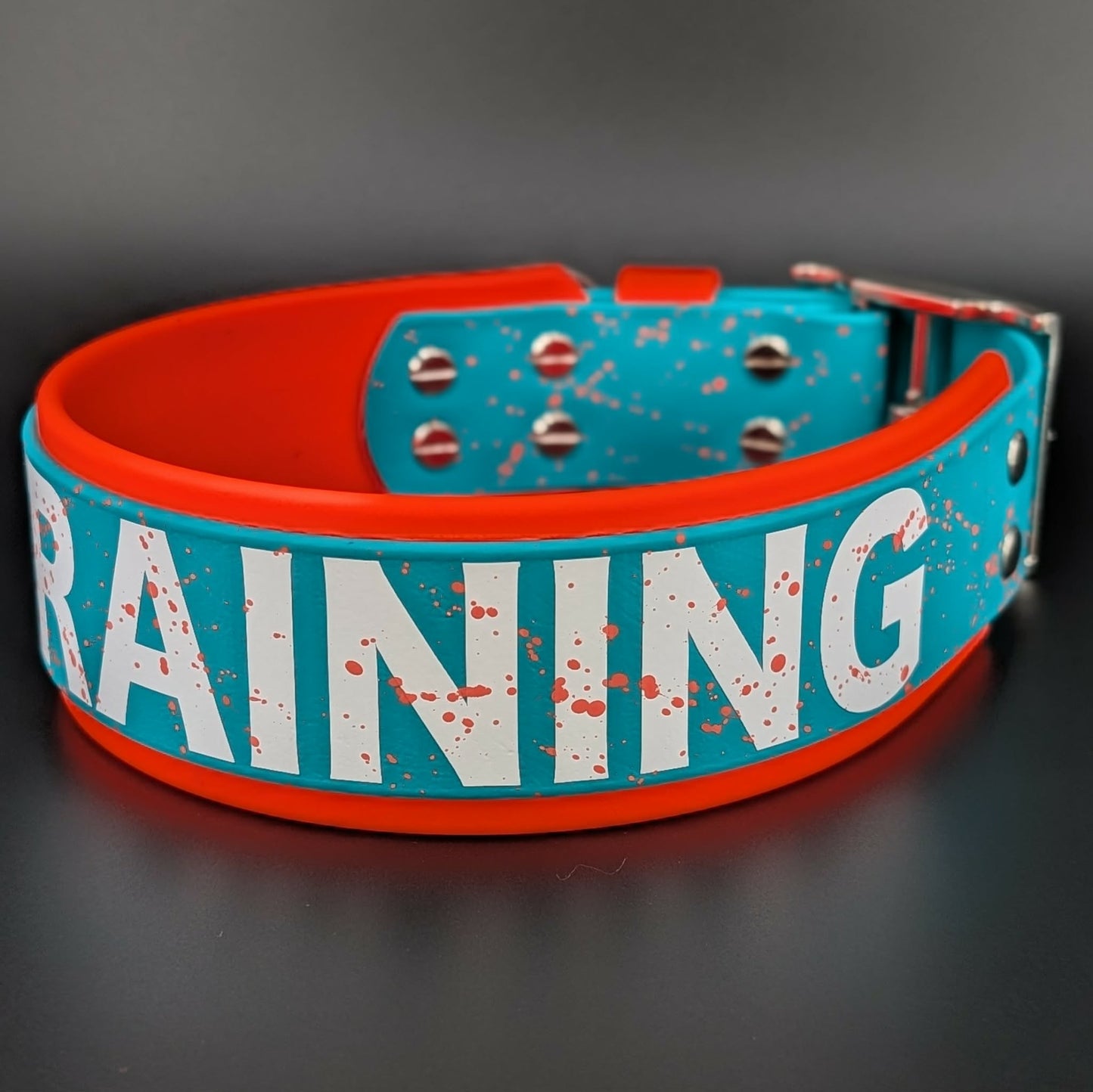 2 inch wide orange and teal layered biothane in training dog collar with splatter paint