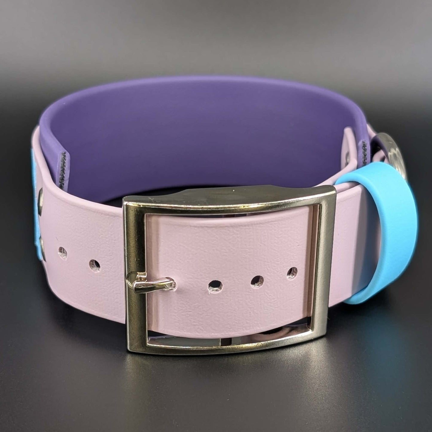 2 inch wide purple and lavender and light blue biothane dog collar