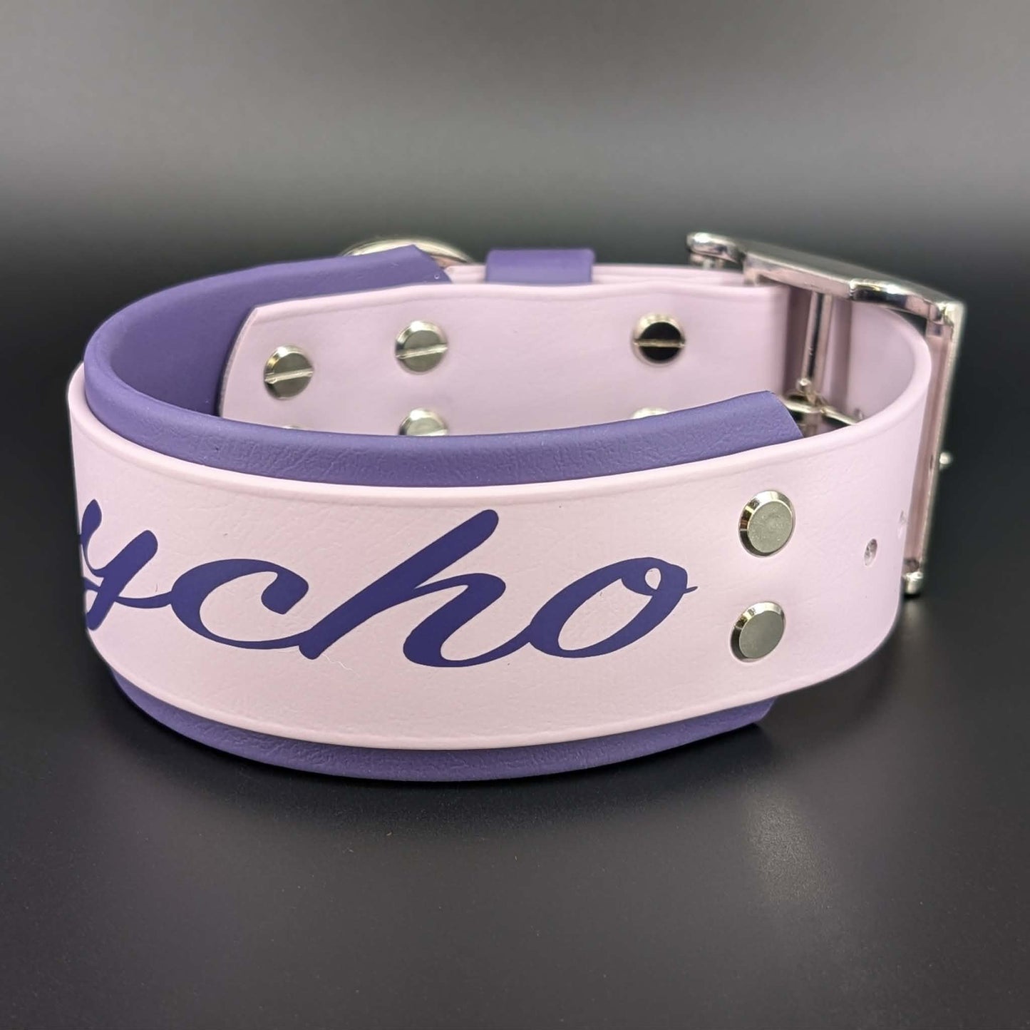 2 inch wide purple and lavender psycho collar