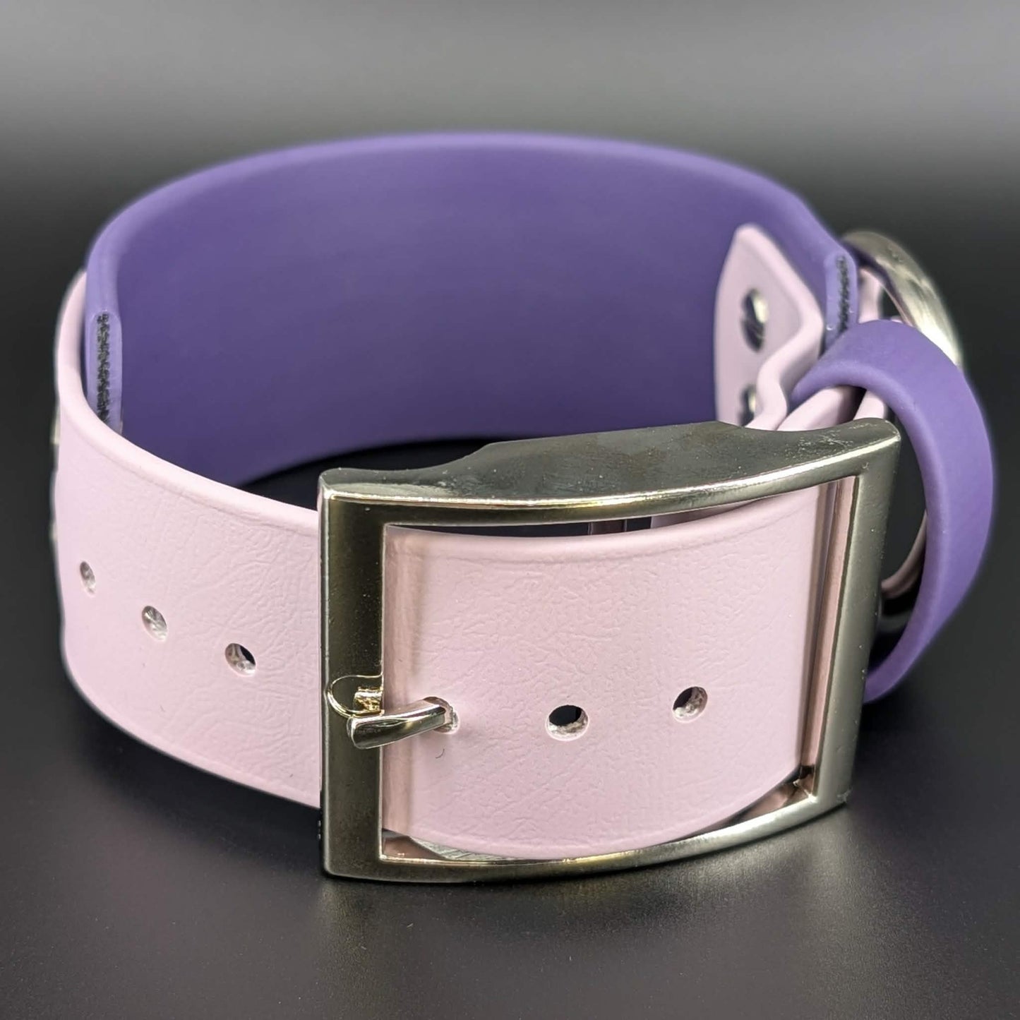 2 inch wide purple biothane dog collar