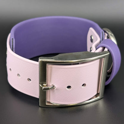 2 inch wide purple biothane dog collar