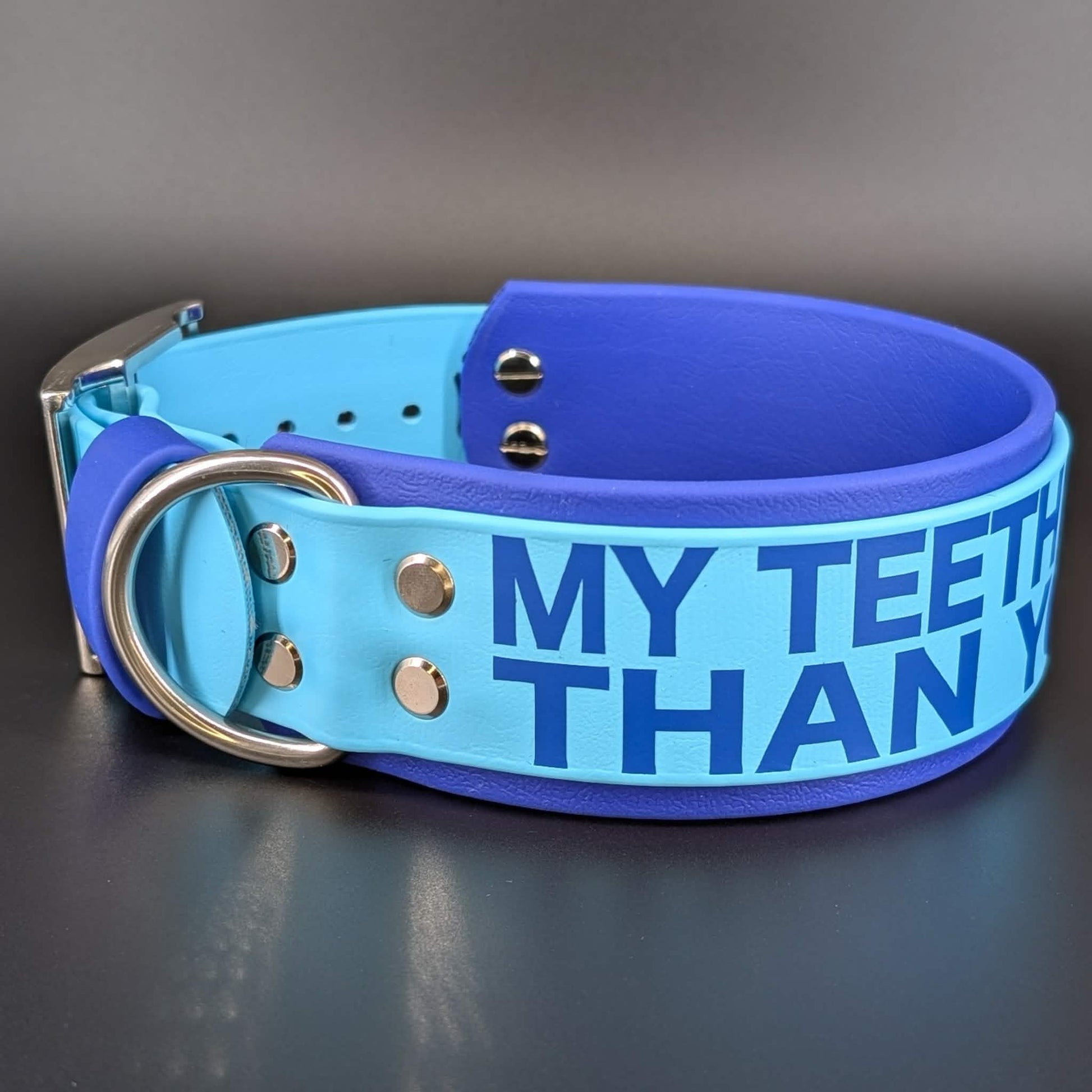 2 inch wide royal and light blue layered biothane my teeth are bigger than your dick collar