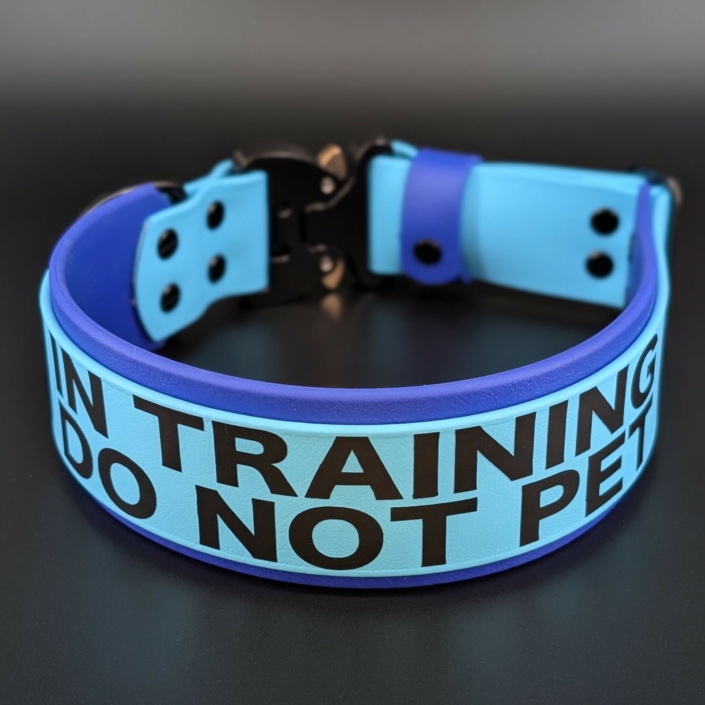 2 inch wide royal blue and light blue layered biothane collar with in training do not pet text and quick release cobra buckle