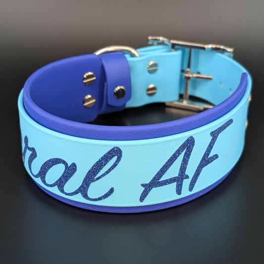 2 inch wide royal blue and light blue layered biothane feral af dog collar