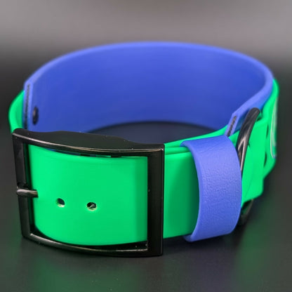 2 inch wide royal blue and light green layered biothane dog collar