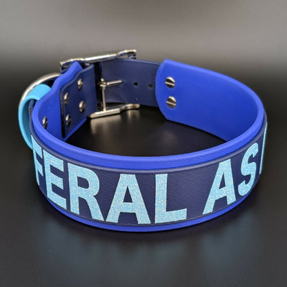2 inch wide royal blue and navy blue layered biothane feral as fuck dog collar