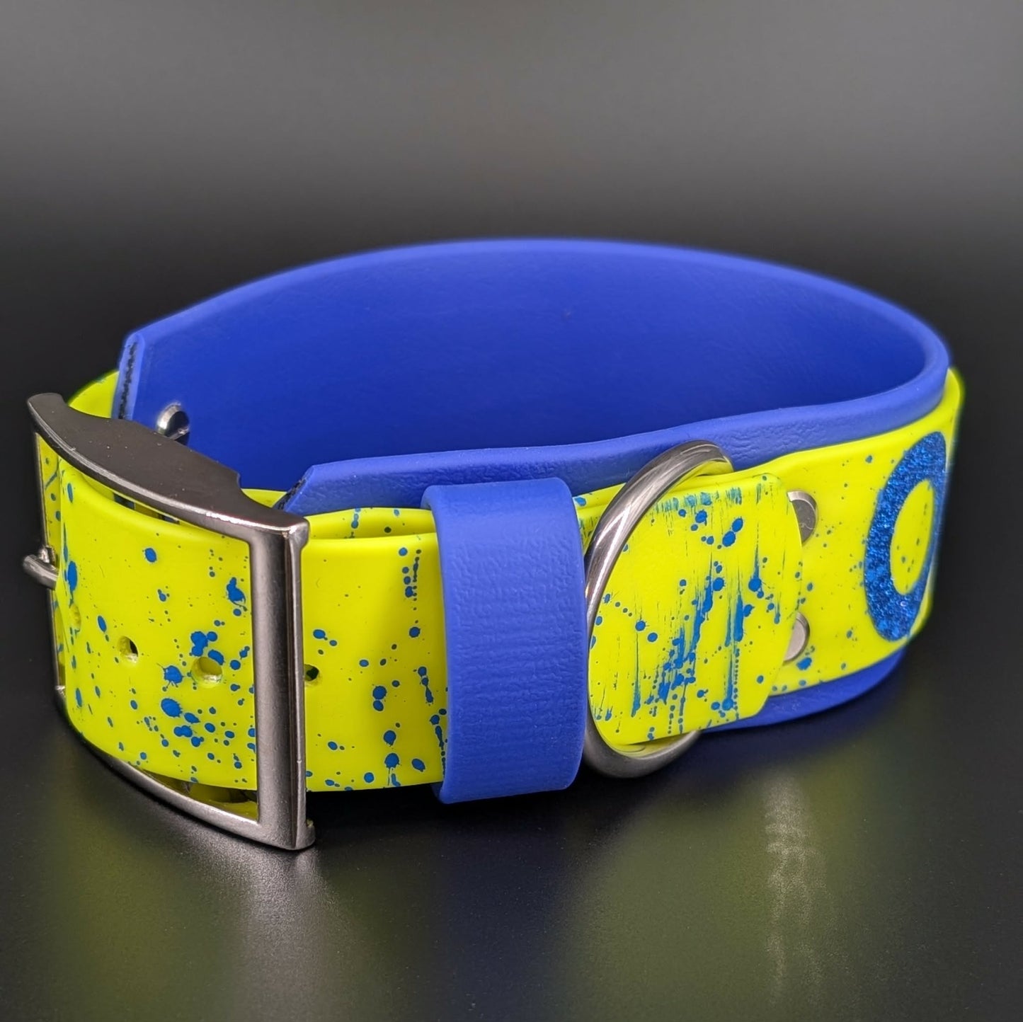 2 inch wide royal blue and yellow okey dokey dog collar with blue splatter paint