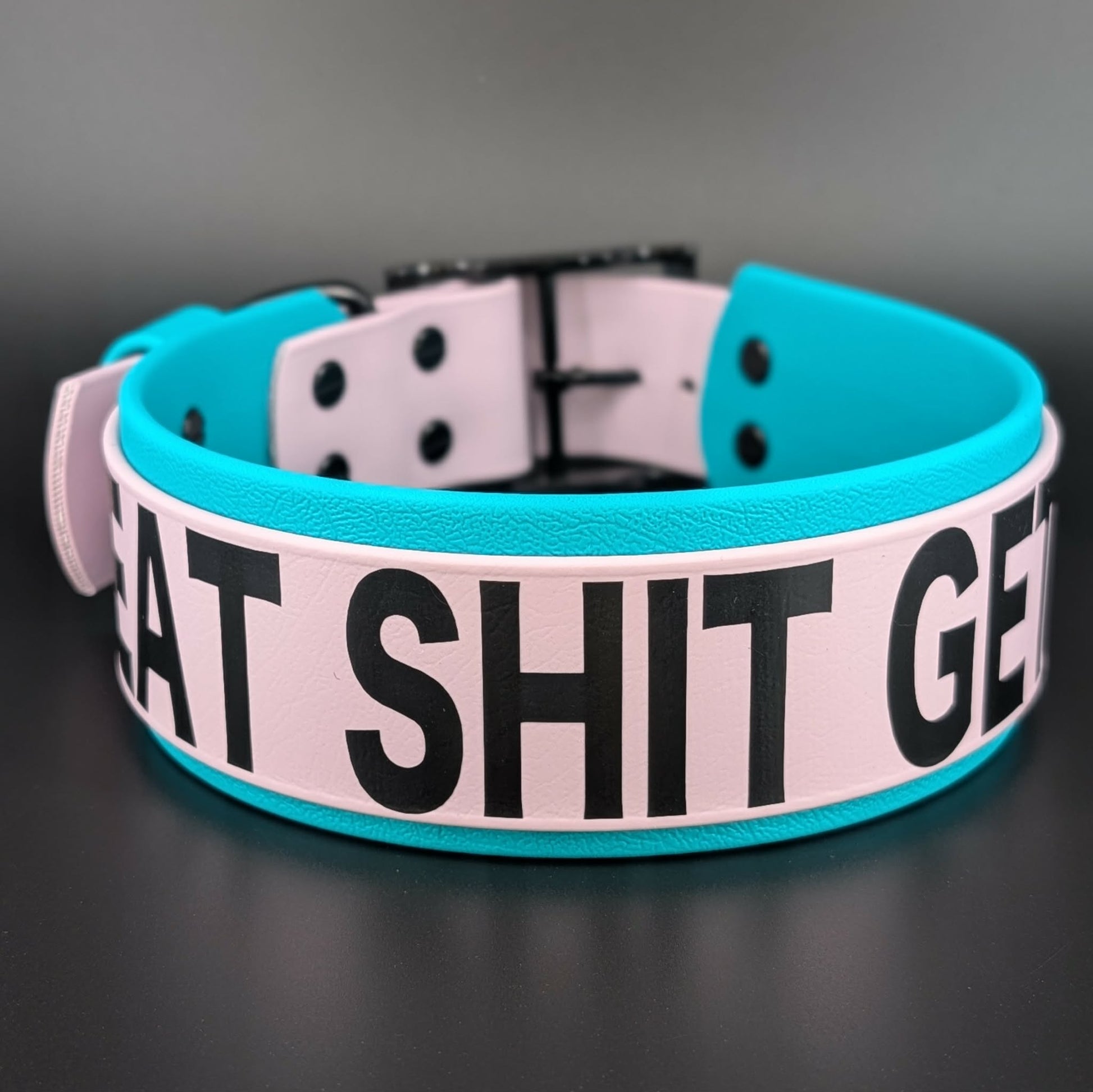 2 inch wide teal and lavender layered biothane collar eat shit get bit