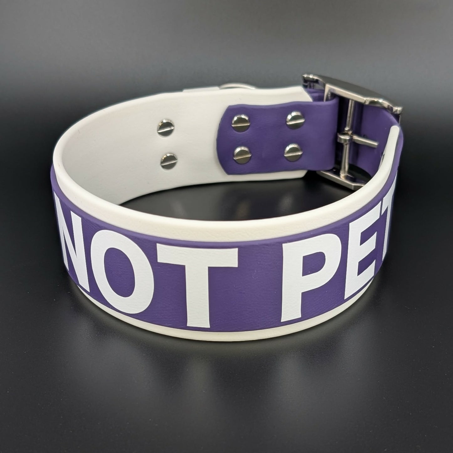2 inch wide white and dark purple layered biothane do not pet collar