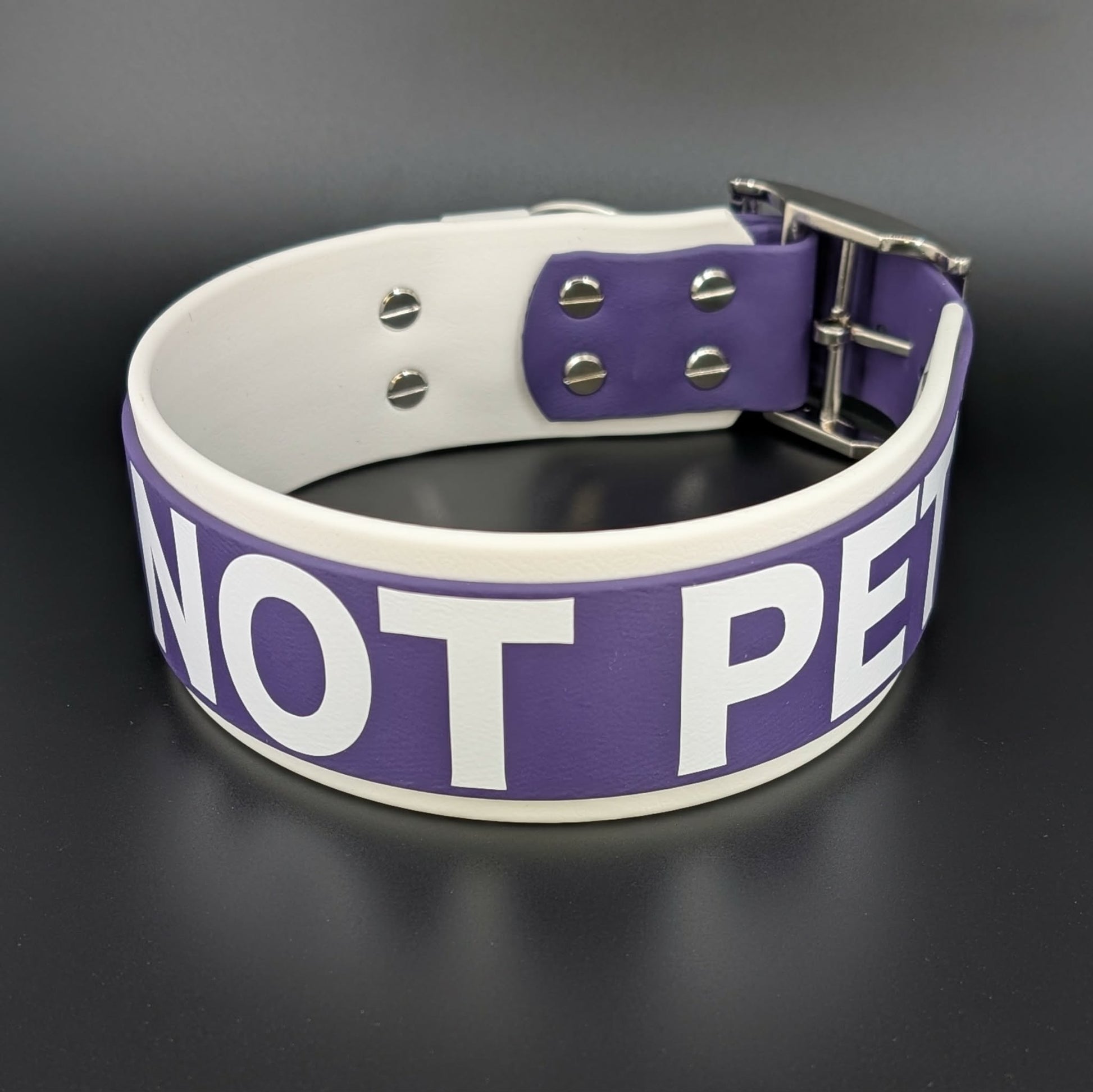 2 inch wide white and dark purple layered biothane do not pet collar