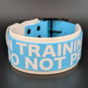 2 inch wide white and light blue biothane dog collar with custom text
